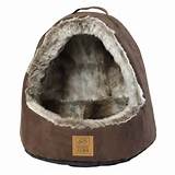 Cat Beds Hooded Photos