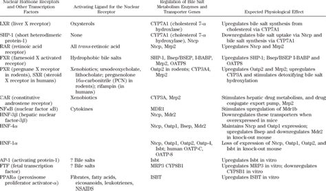 Nuclear Hormone Receptors And Other Transcription Factors That Regulate Download Scientific