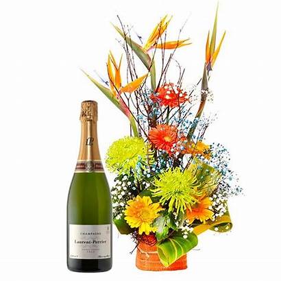Champagne Zen Abondance Smilemauritius Flowers Gifts Views