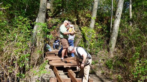 Poulsbo Fish Park Lions Boardwalk Project new segment 4/18/2015