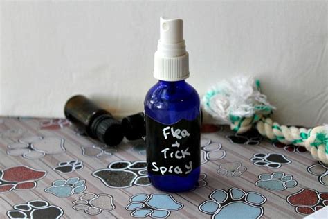 How To Make Flea And Tick Spray For Pets Tick Spray Flea And Tick