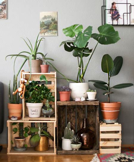 10 increíblemente hermosas manualidades con plantas. 17 ideas para decorar tu sala de estar con plantas en esta ...