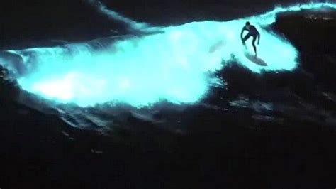 Surfers Catch Glowing Waves In California Red Tide The Weather Channel