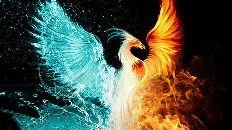 Fire Phoenix 1920x1080 Wallpaper