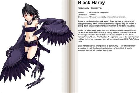 Black Harpy Monster Girls Know Your Meme