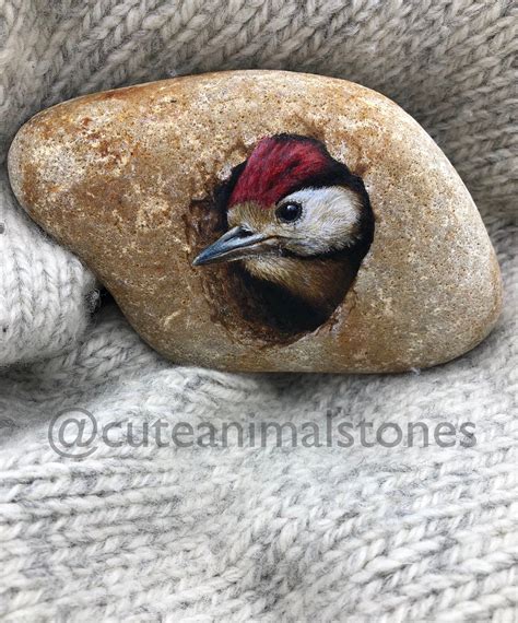 Realistic Painted Rock Bird Stone Painting Cute Animals Stone