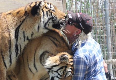 In april 2018, he was found guilty of animal abuse/wildlife violations (he reportedly killed five tigers. Can You Visit Tiger King Zoo - Rizop