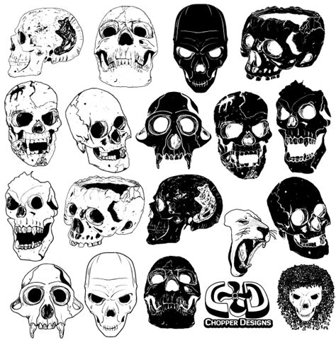 Free Skull Vector Graphics Free Vectors In 2019 Skull Art Skull
