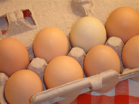 Healthy Breakfast Ideas For Families On The Go Eggs