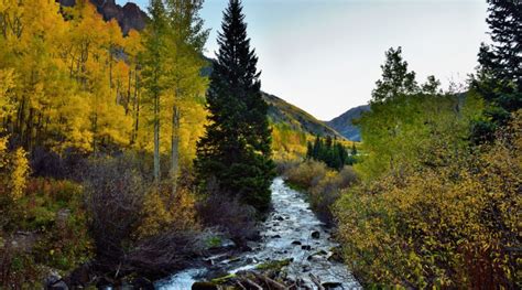 Best Fall Color In Colorado Where To See Foliage Minus The Crowds