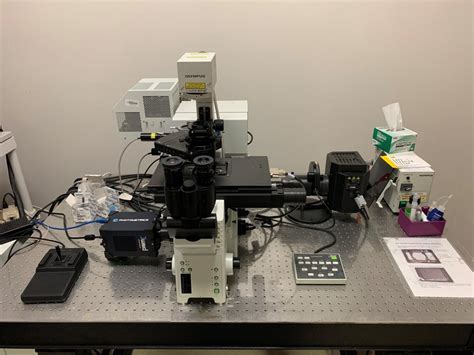 Olympus Fv1000 Confocal Microscope Microscopy And Imaging Center