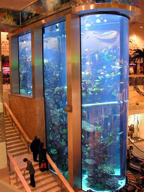This Is The Largest Aquarium And The Highest In The Baltic States