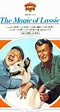 The Magic of Lassie (1978) - Don Chaffey | Synopsis, Characteristics ...