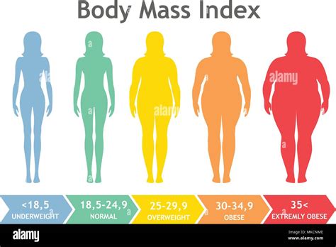 body mass index vector illustration from underweight to extremely obese woman silhouettes with