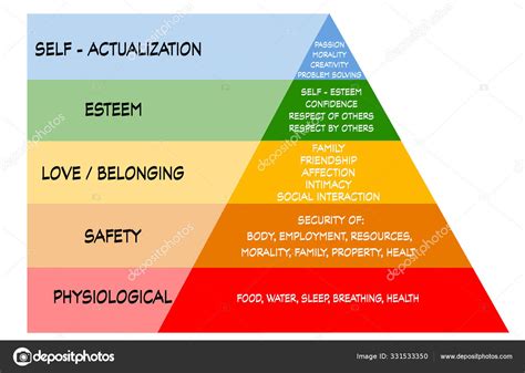 Piramide De Las Necesidades De Maslow Maslows Hierarchy Of Needs Images