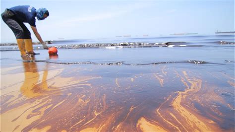 The Cost Effective Technology That Can Clean Up Oil Spills YouTube