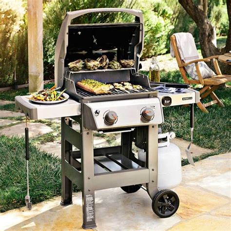 The Ultimate Guide To Understanding And Using The Weber Spirit E 210