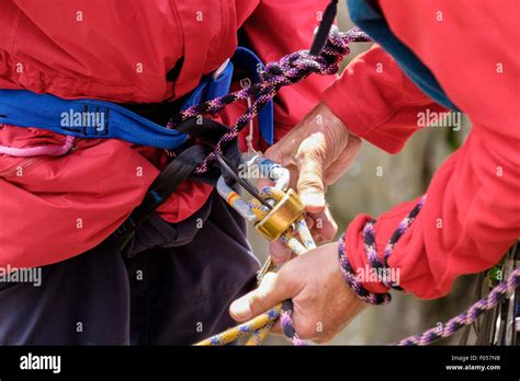 Rock Climber Attaching A Climbing Safety Rope And Belay Device