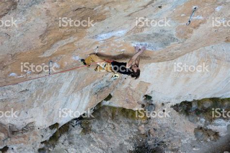 Rock Climber Professional Athlete Foto De Stock Libre De Derechos