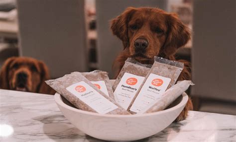 This document compiles all reports of dilated cardiomyopathy in dogs and cats that New Study Shows No Link between Grain-free Dog Foods ...