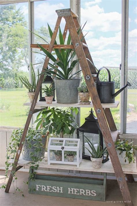 Shelves upon shelves of beautiful plants are our happy place. 7 Best Examples of Creative DIY Ladder Shelves