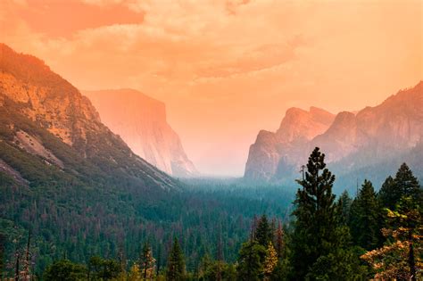 Yosemite Valley Wallpaper 4k Summer Green Trees Orange Sky