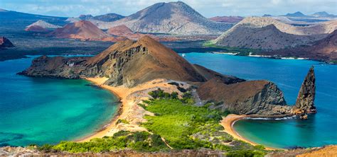 Galapagos A Close Encounter With Five Endemic Species Of The