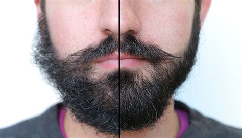 Remember, this step is to just slightly cut individual strands of hairs rather than a large chunk. Beard Grooming Tips and Steps: 8 Ways to Maintain Your ...