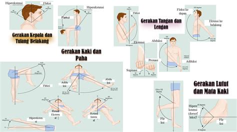 Sistem Muskuloskeletal LATIHAN RENTANG GERAK SENDI RANGE OF MOTION ROM
