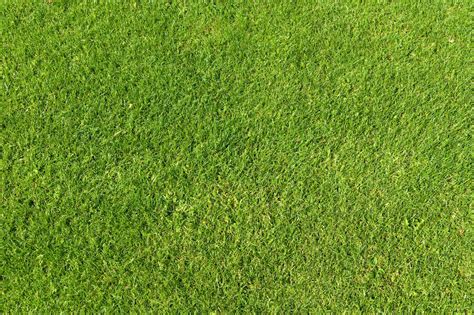 Green Grass Texture 01 By Simoonmurray On Deviantart