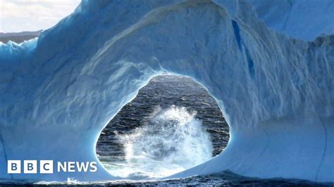 Beauty Iceberg Thrills Newfoundland And Labrador Bbc News