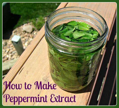 How To Make Peppermint Extract Whole Natural Life