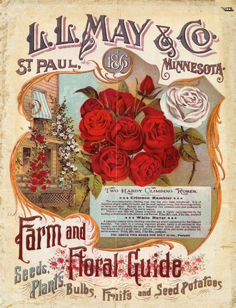 שם מקומי farm to plate. pearlriverworld | Iron orchid designs, Vintage seed ...