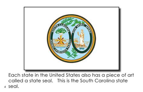 South Carolina State Symbols First Grade Book Wilbooks