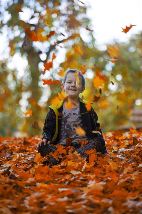 Happy Boy And Autumn Leaves Free Stock Photo Public Domain Pictures