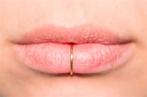 13 Most Amazing Lip Piercing Jewelry Pictures Sheideas