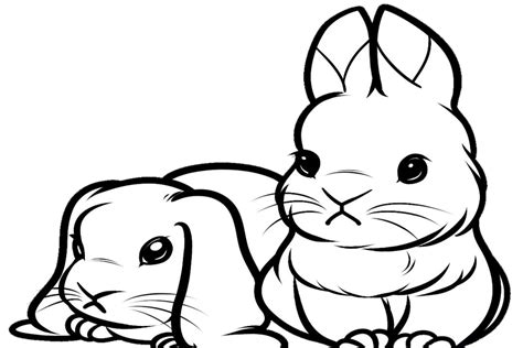 Cute Bunny Free Coloring Pages
