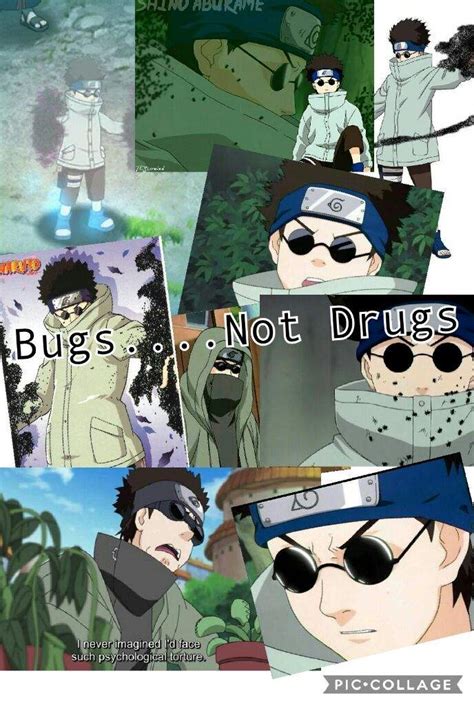 Shino The Insect Naruto Amino