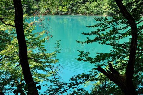 Beautiful Turquoise Lake In Plitvice Croatia Stock Photo Image Of
