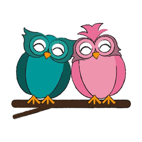 10 Owl Pair Illustrations Royalty Free Vector Graphics And Clip Art