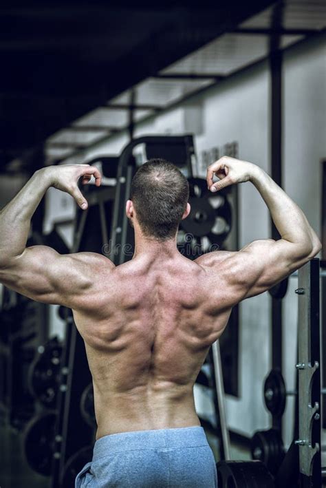 Man Showing Back In Gym Stock Image Image Of Exercise
