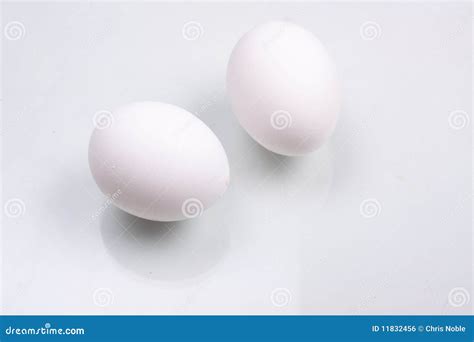 Two White Eggs Stock Photo Image Of Eggs Fresh Speckled 11832456