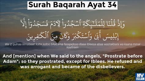 Surah Al Baqarah Ayat 34 234 Quran With Tafsir My Islam