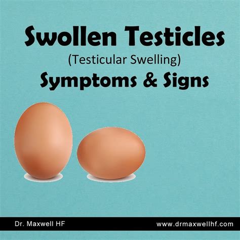 Swollen Testicles Testicular Swelling Symptoms And Signs Nairaland General Nigeria