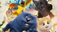 Cats & Peachtopia Official Trailer Full Movie HD - MOVIE 2020 - YouTube