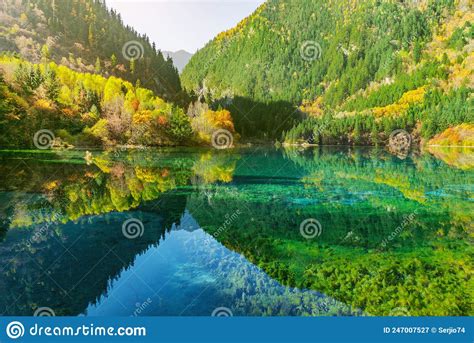 Five Flower Lake At Autumn Time Jiuzhaigou Nature Reserve Jiuzhai