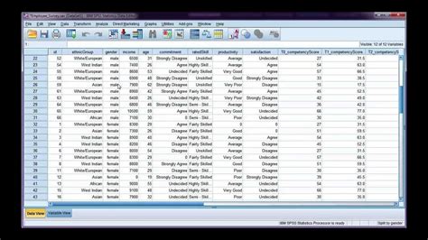 The statistical package for the social sciences, or ibm spss for short, is one of the most popular data analyses software around. Split your data file by a categorical variable in SPSS ...