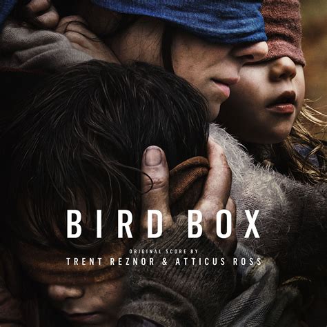 Görmenin Önemini Gösteren Film Bird Box Utmanet