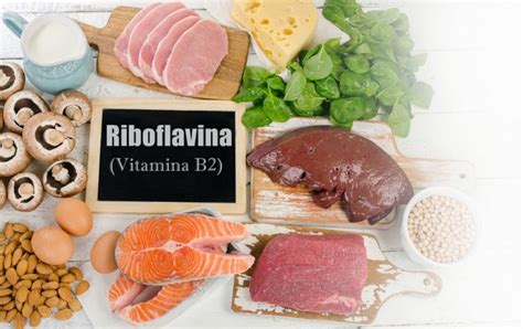 Riboflavina Para Que Serve Alimentos Deficiência E Como Usar Dr Saúde