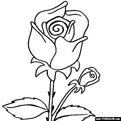 coloring pages thecolor